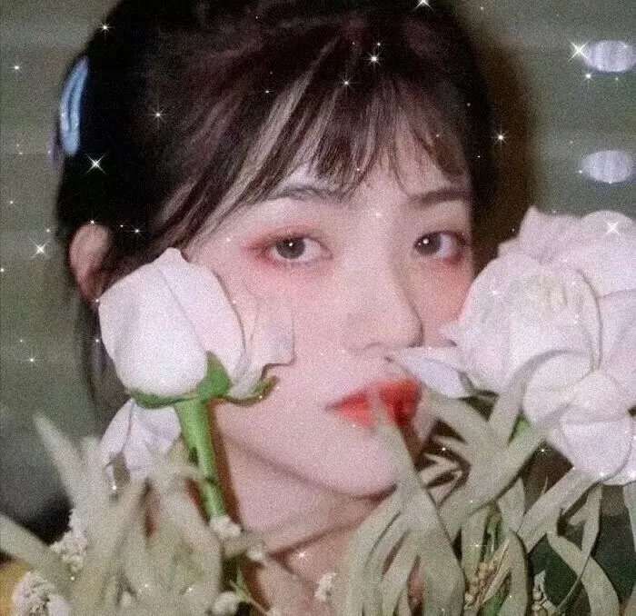 政治之爱