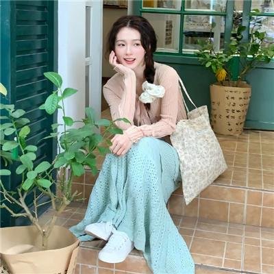 没人瞭波斯猫